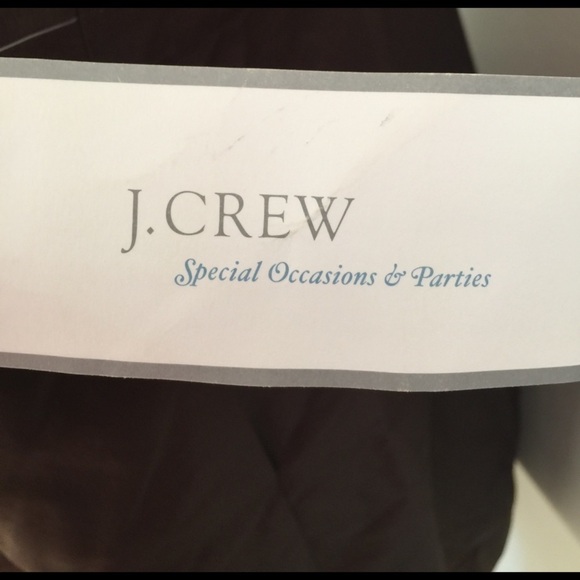 NEW J. Crew Brown Silk Party Lined Dress 14 - Picture 3 of 7